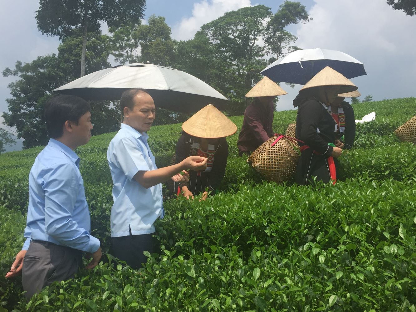 Thái Nguyên thực hiện hiệu quả chính sách dân tộc -0