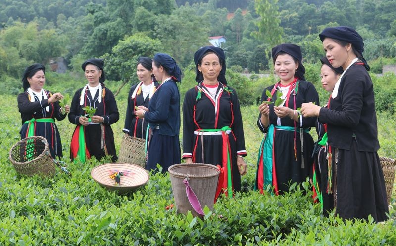 Thái Nguyên thực hiện hiệu quả chính sách dân tộc -0