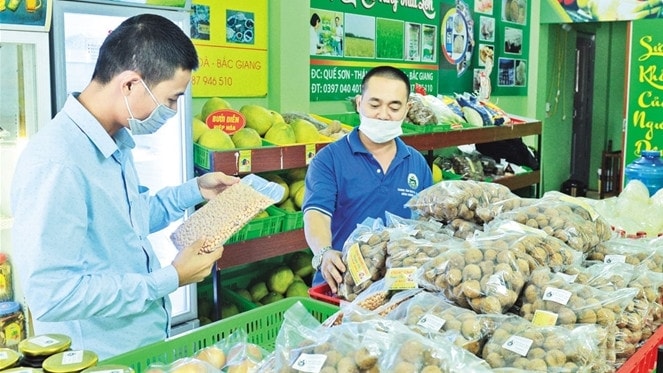 Nâng cao chất lượng vùng nguyên liệu, liên kết trong tiêu thụ góp phần gia tăng giá trị cho nông sản đặc trưng của địa phương