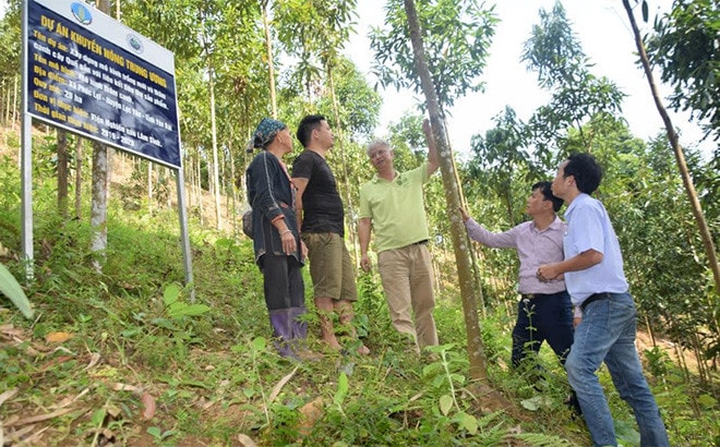 Yên Bái: Không chỉ thoát nghèo, còn trở thành tỷ phú -0