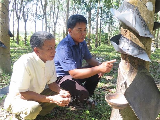 Kon Tum huy động vốn ODA cho 6 dự án phát triển KT – XH vùng đồng bào DTTS và MN -0