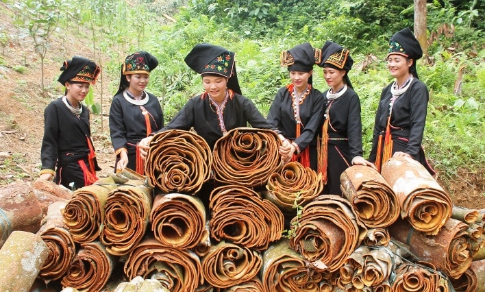 Yên Bái: Không chỉ thoát nghèo, còn trở thành tỷ phú -0