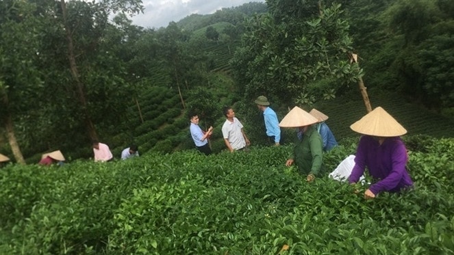 Phát triển giáo dục nghề nghiệp: Ngân sách nhà nước phải là chủ đạo -0