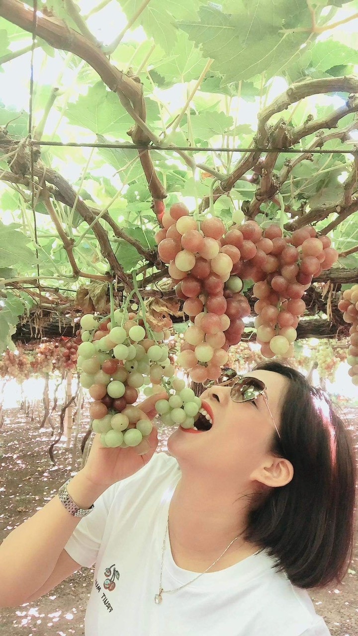 Ninh Thuận với những tiềm năng du lịch và lợi thế có sẵn -0