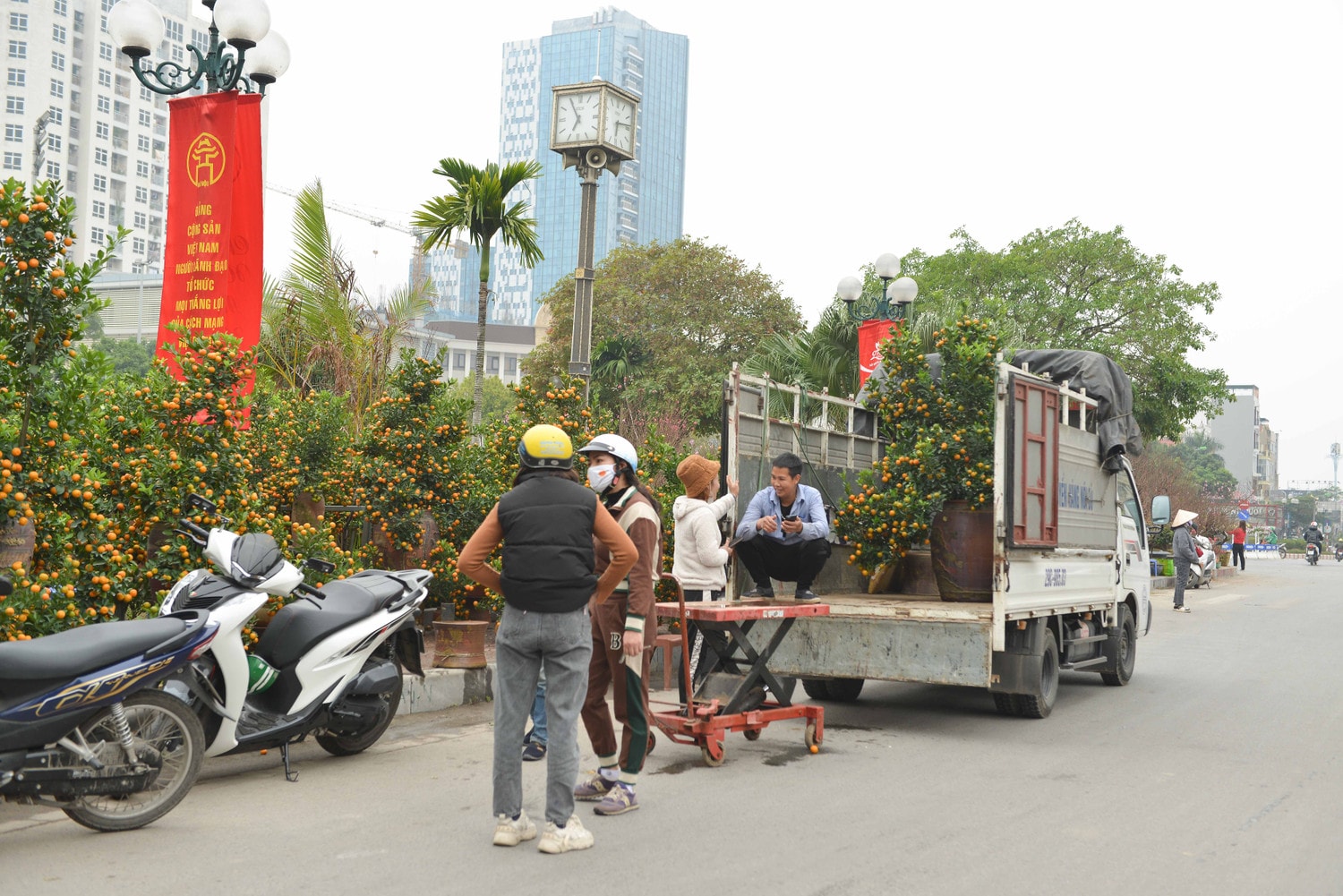 Đào, quất phục vụ người dân chơi tết Quý Mão khoe sắc trên đường phố Hà Nội -0