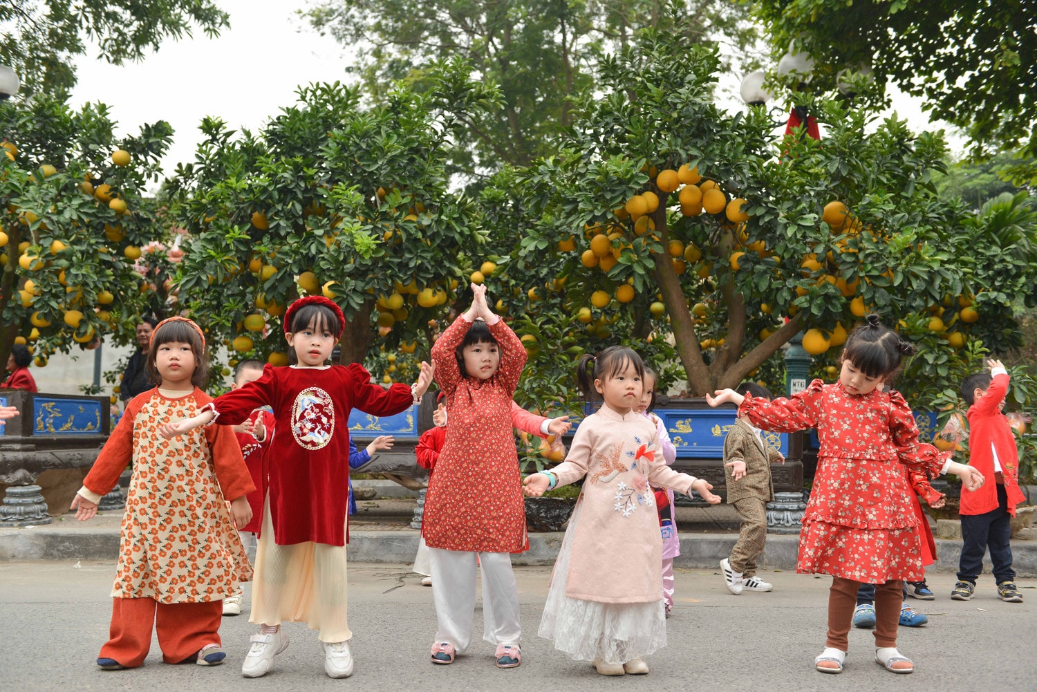 Đào, quất phục vụ người dân chơi tết Quý Mão khoe sắc trên đường phố Hà Nội -0