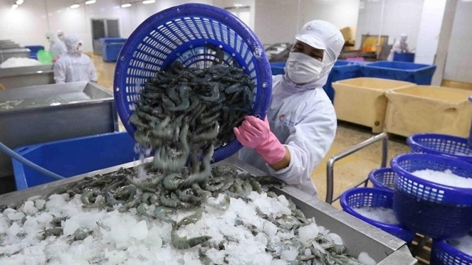 Năm 2023, xuất khẩu tôm sẽ đối mặt với nhiều thách thức