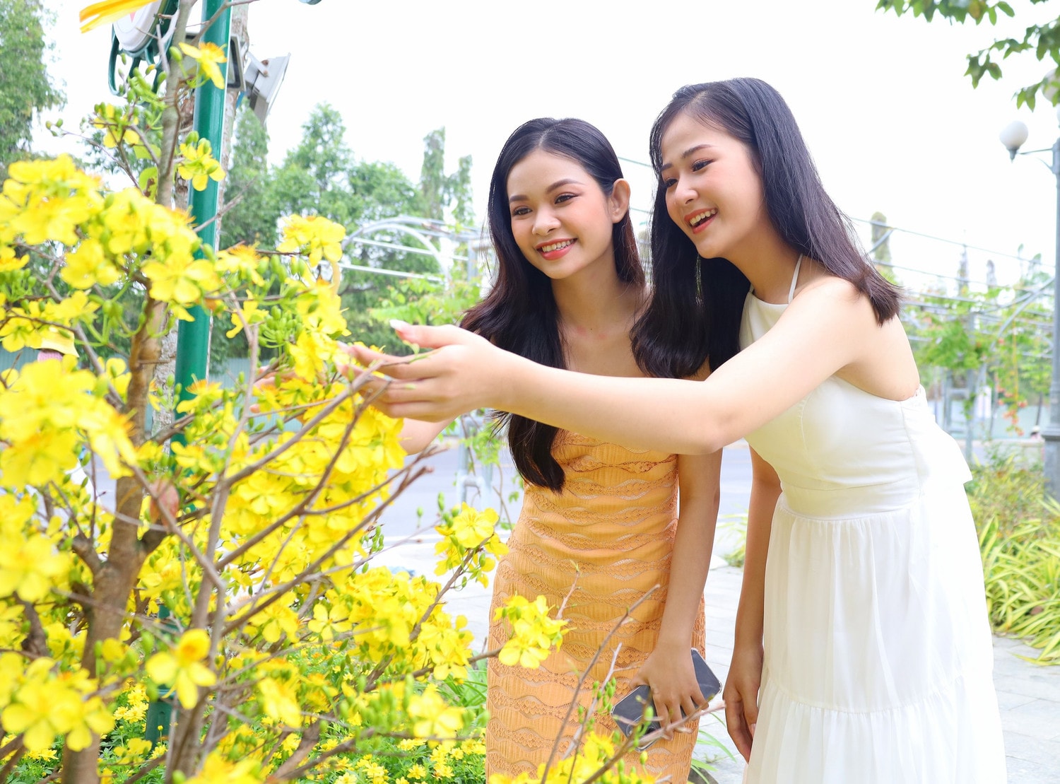 Cần Thơ tưng bừng đón chào năm mới -0