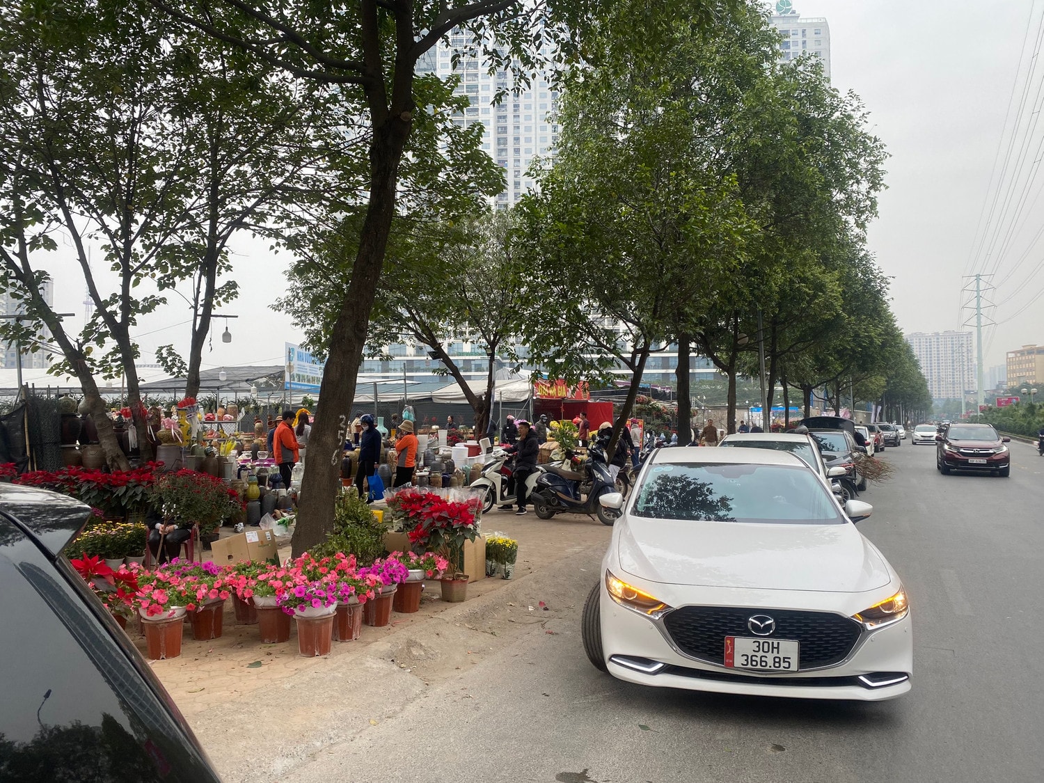 Các điểm bán cây cảnh, hoa Tết tấp nập ngày giáp Tết Nguyên đán 2023 -0