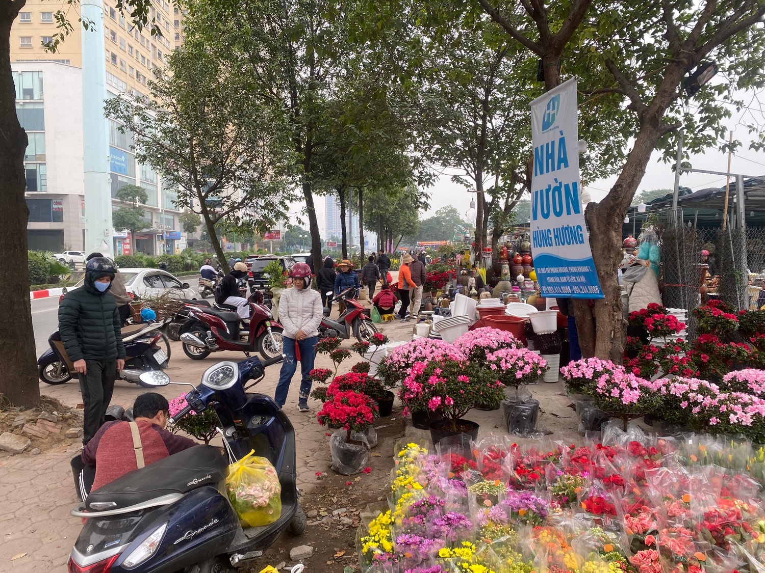 Các điểm bán cây cảnh, hoa Tết tấp nập ngày giáp Tết Nguyên đán 2023 -0