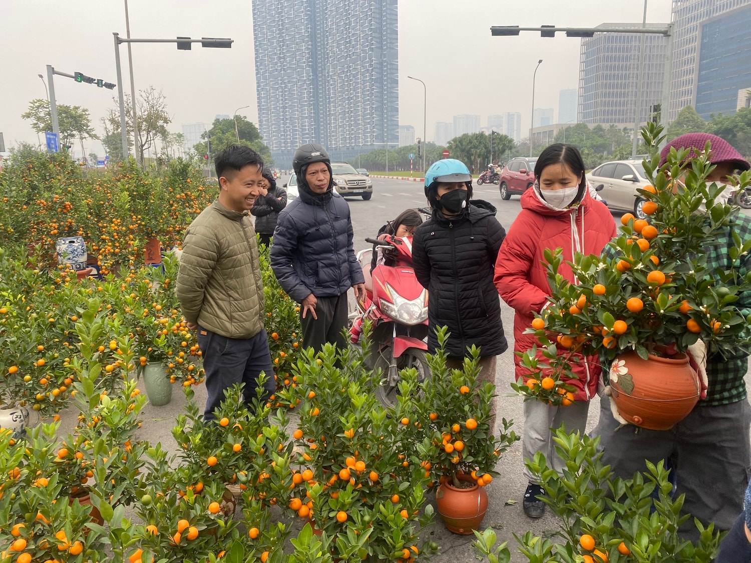 Các điểm bán cây cảnh, hoa Tết tấp nập ngày giáp Tết Nguyên đán 2023 -0