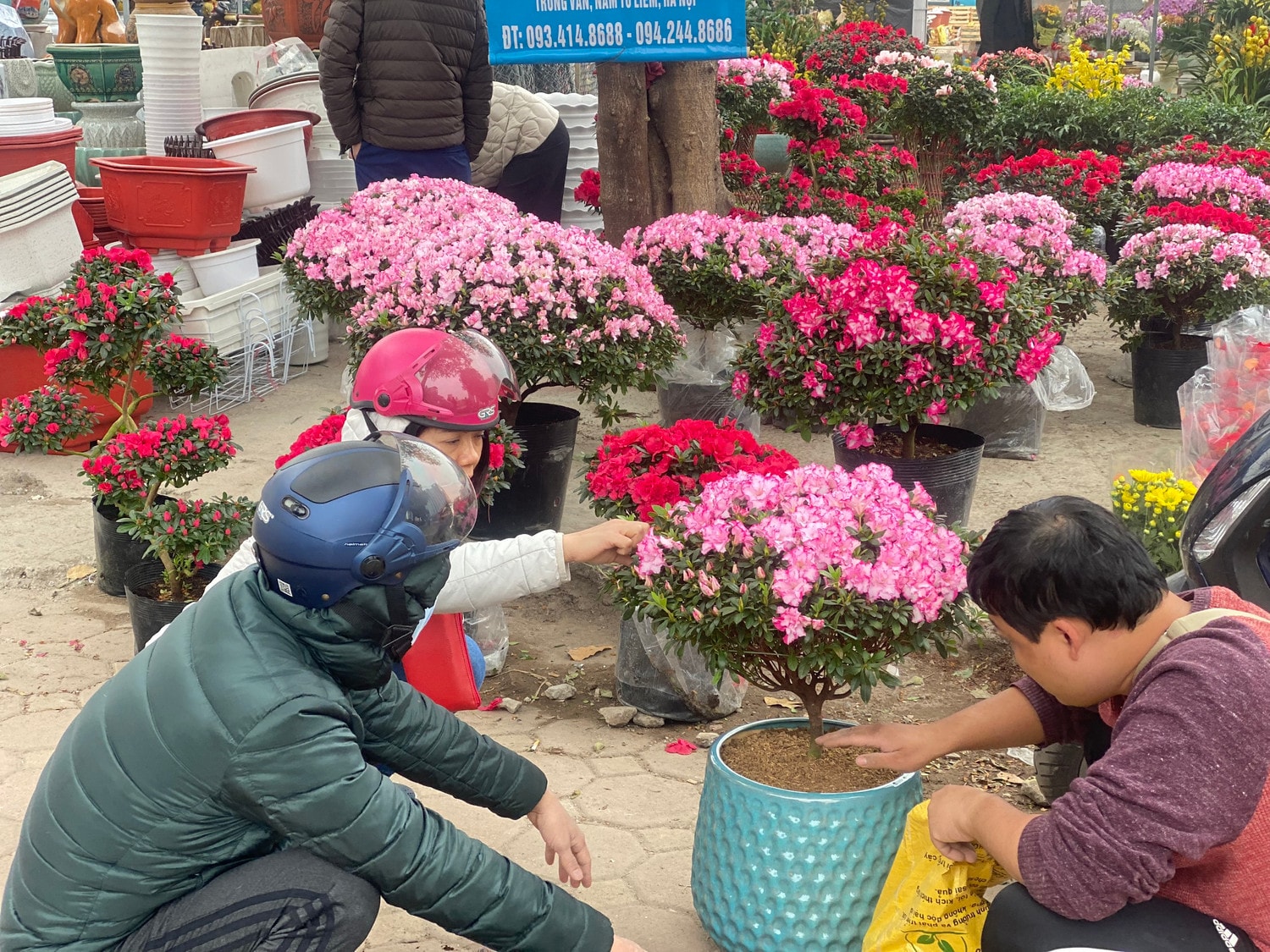Các điểm bán cây cảnh, hoa Tết tấp nập ngày giáp Tết Nguyên đán 2023 -0