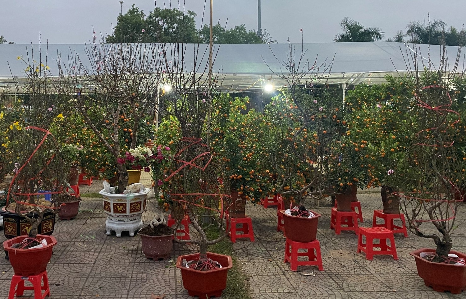 Hải Dương: Sôi động Hội chợ hoa Xuân năm 2023 -0