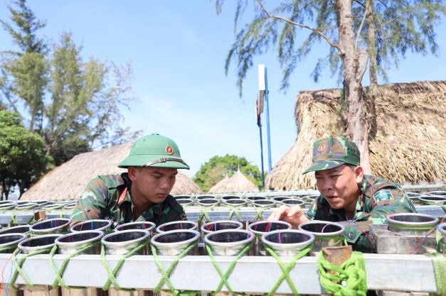 Cần Thơ, chuẩn bị pháo hoa cho thời khắc giao thừa -0