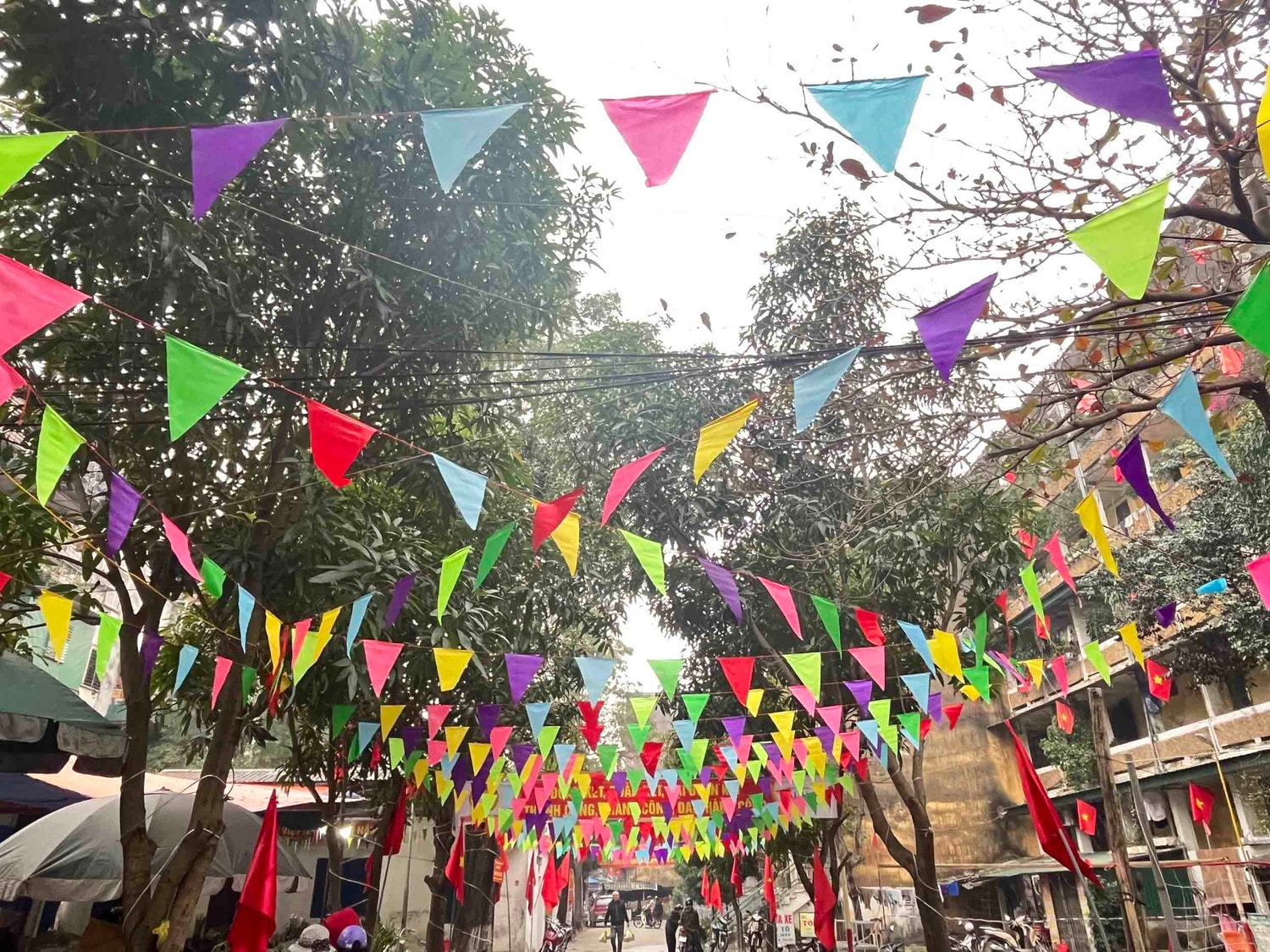 Thành Vinh chào Xuân 2023 -0