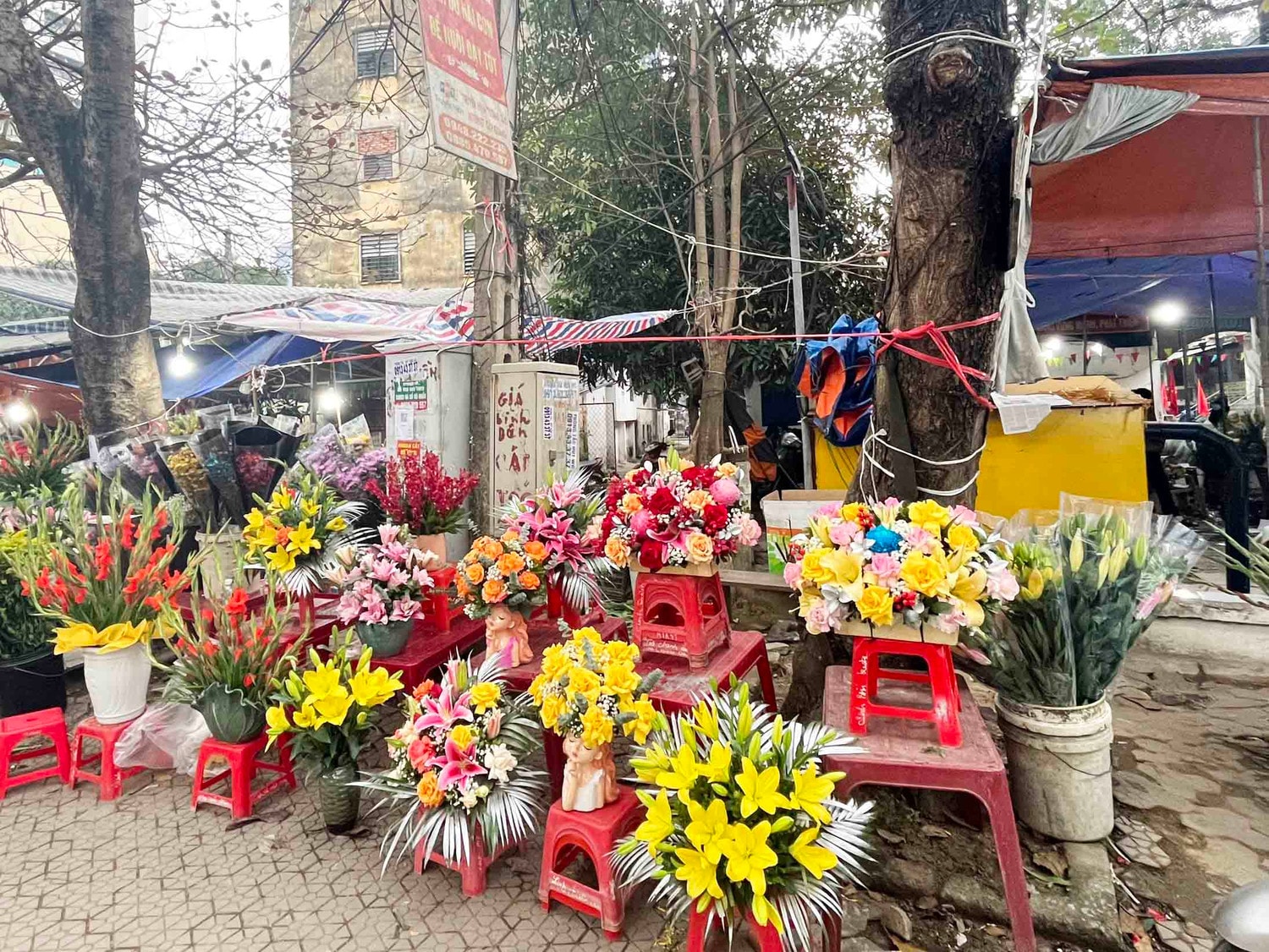 Thành Vinh chào Xuân 2023 -0