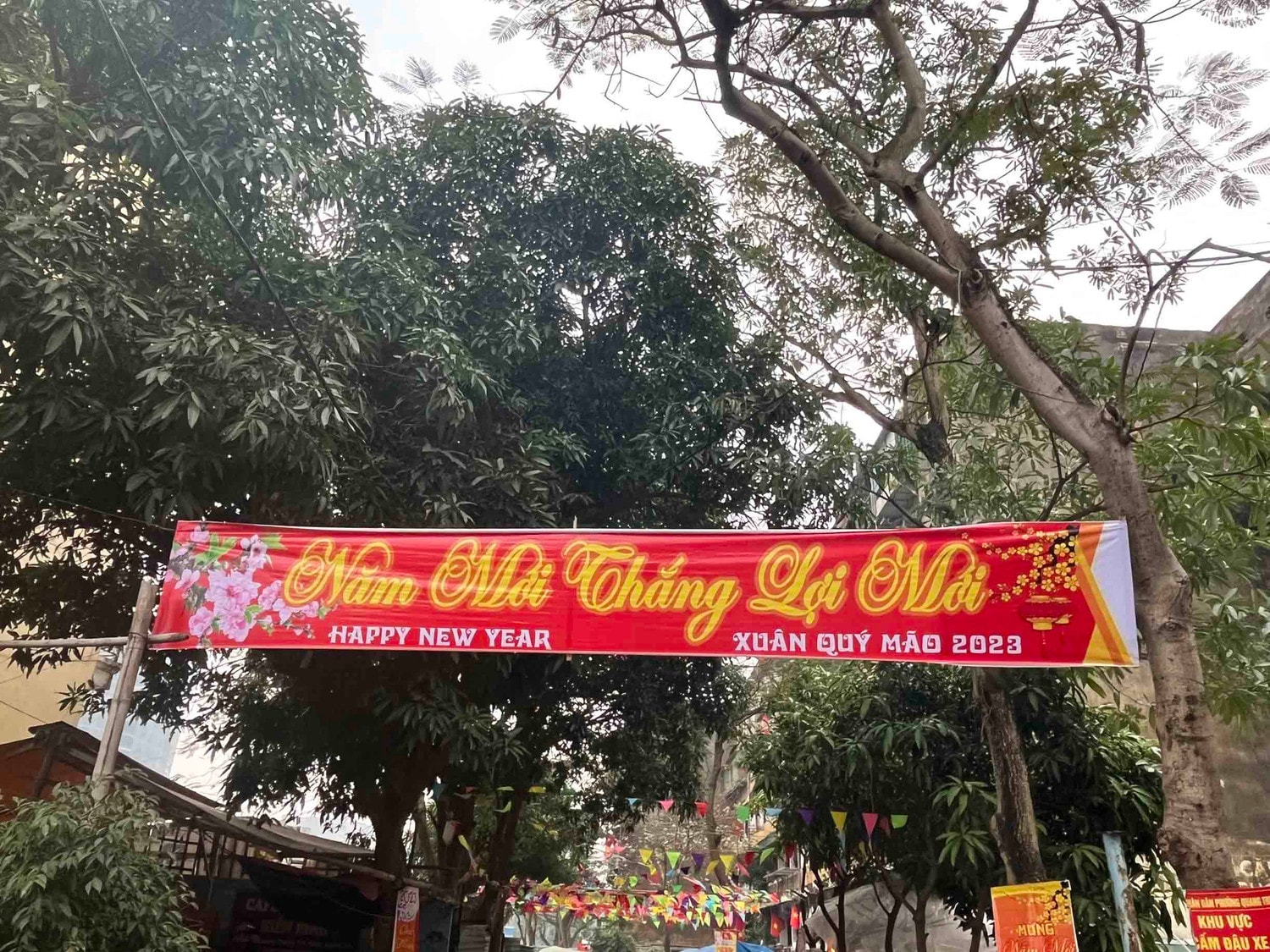Thành Vinh chào Xuân 2023 -0