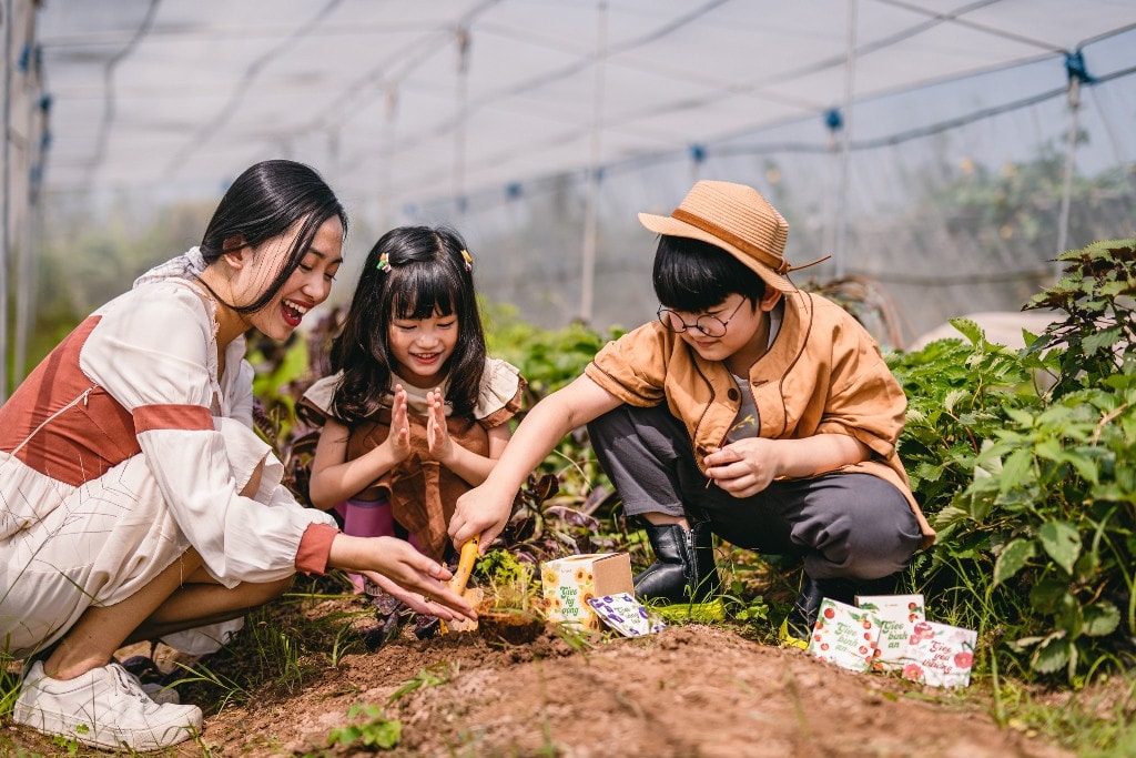 Lì xì Hạt giống đầu xuân -0