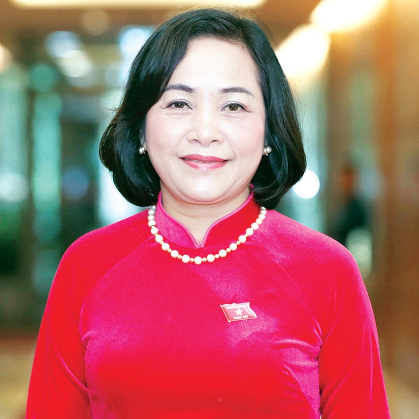 Đóng góp thiết thực nâng cao năng lực hoạt động của đại biểu dân cử -0