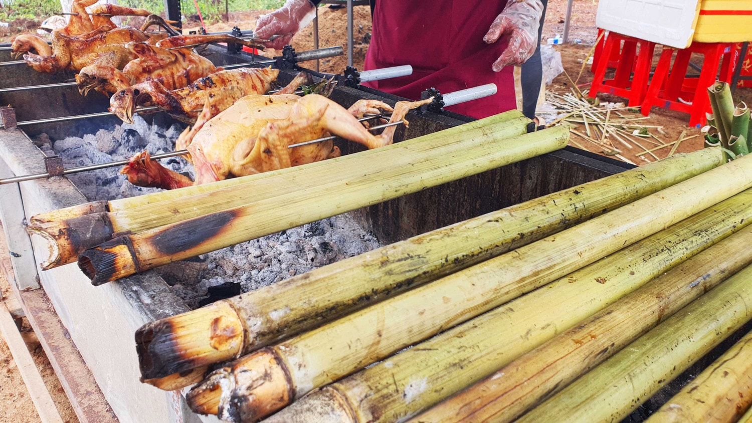 Du khách đến Măng Đen ngắm hoa mai anh đào khoe sắc Xuân -0