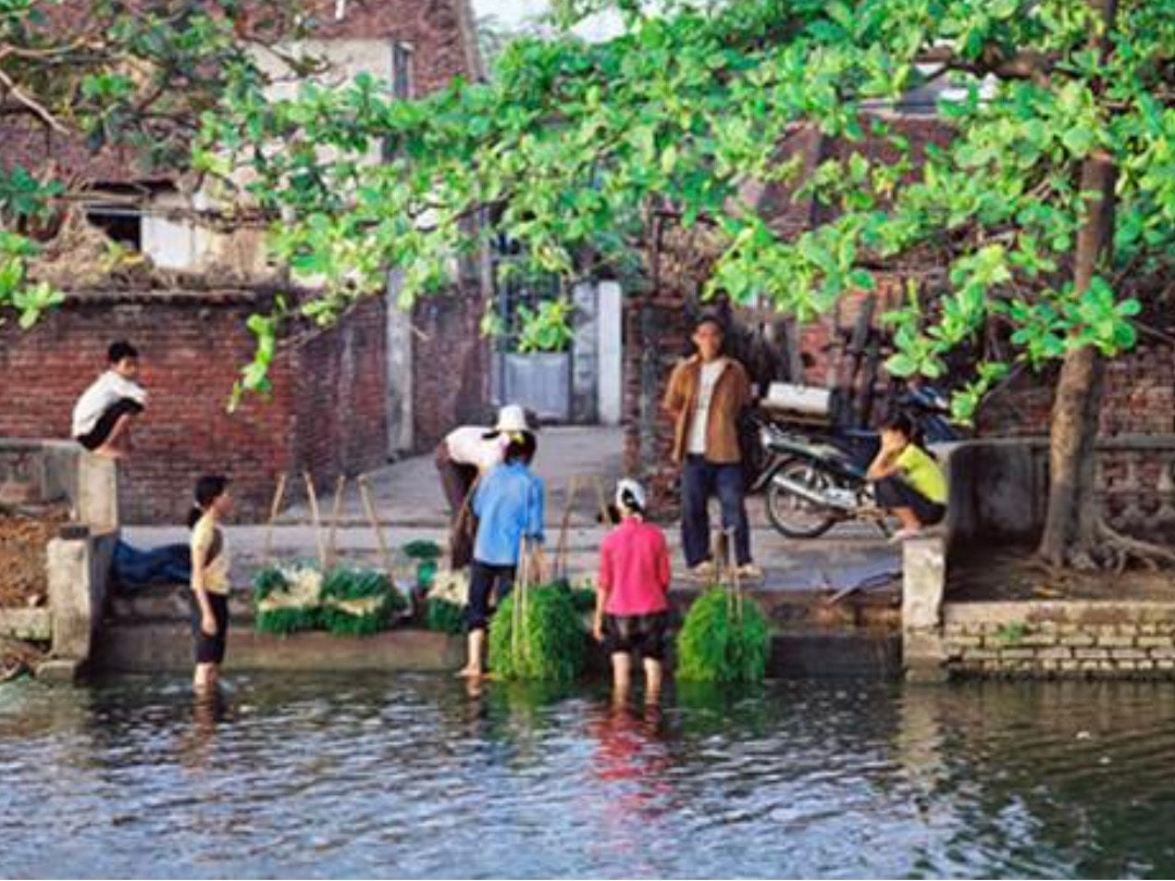 ... và xua đi cái mệt mỏi của người già