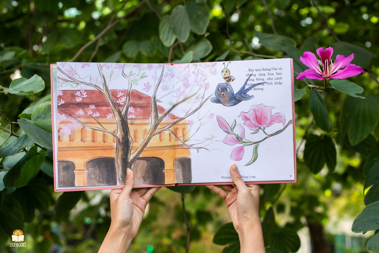 Từ mùa xuân rực rỡ, khám phá vẻ đẹp 12 mùa hoa Hà Nội -3