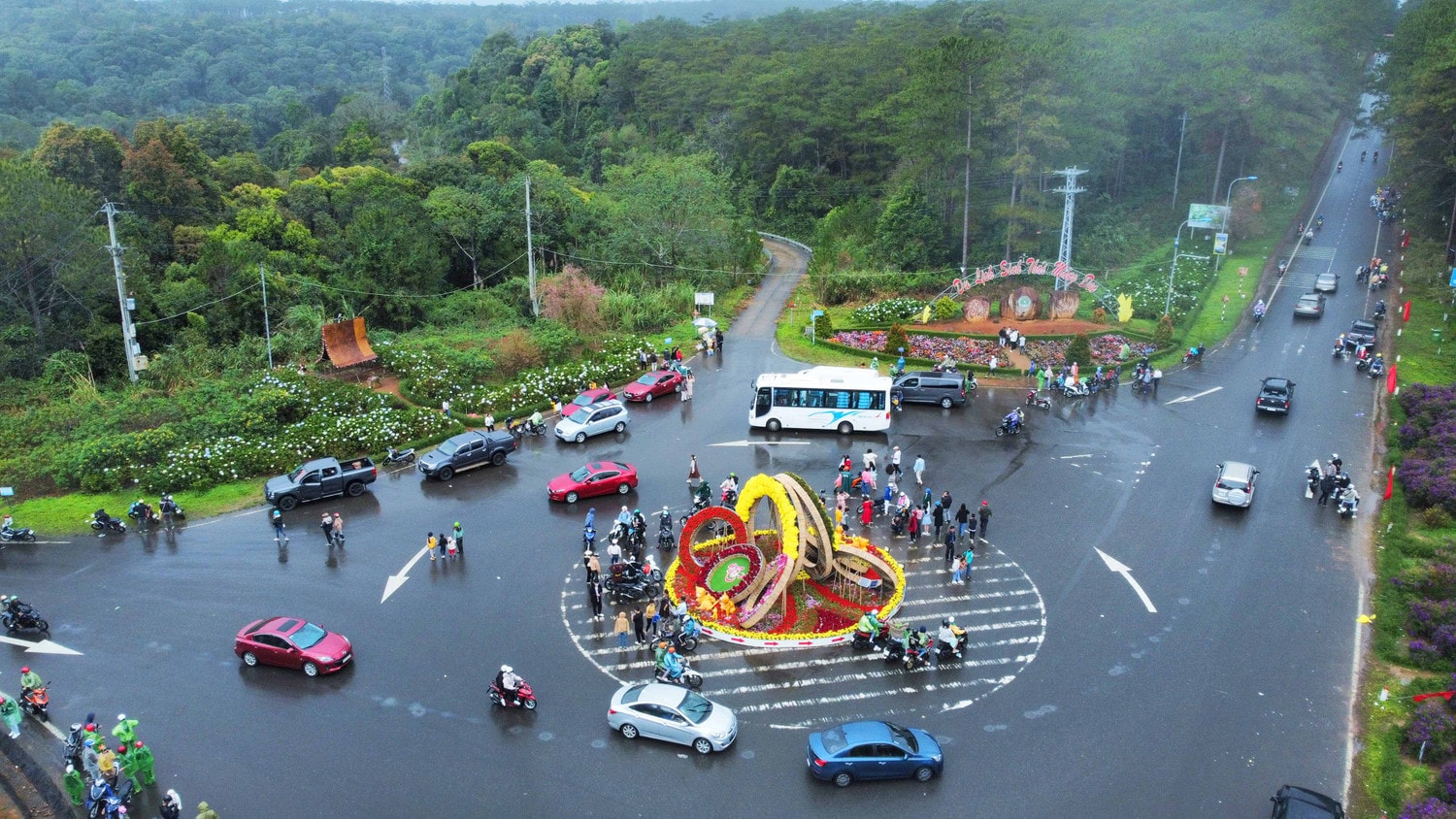 Du khách đến Măng Đen ngắm hoa mai anh đào khoe sắc Xuân -0