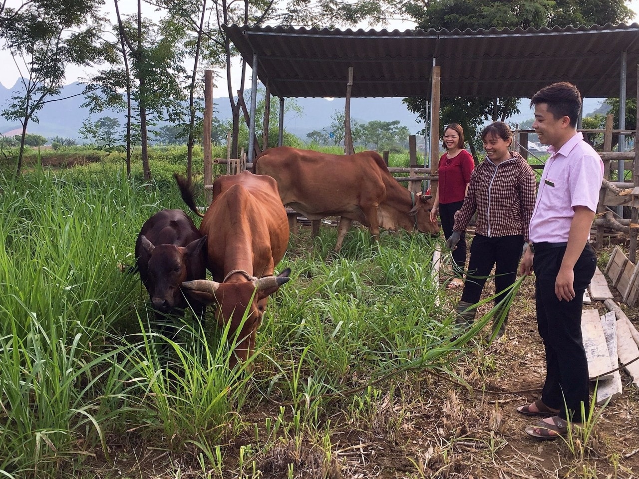 Phát huy vai trò của đồng bào DTTS là quyết sách giảm nghèo trụ cột -0