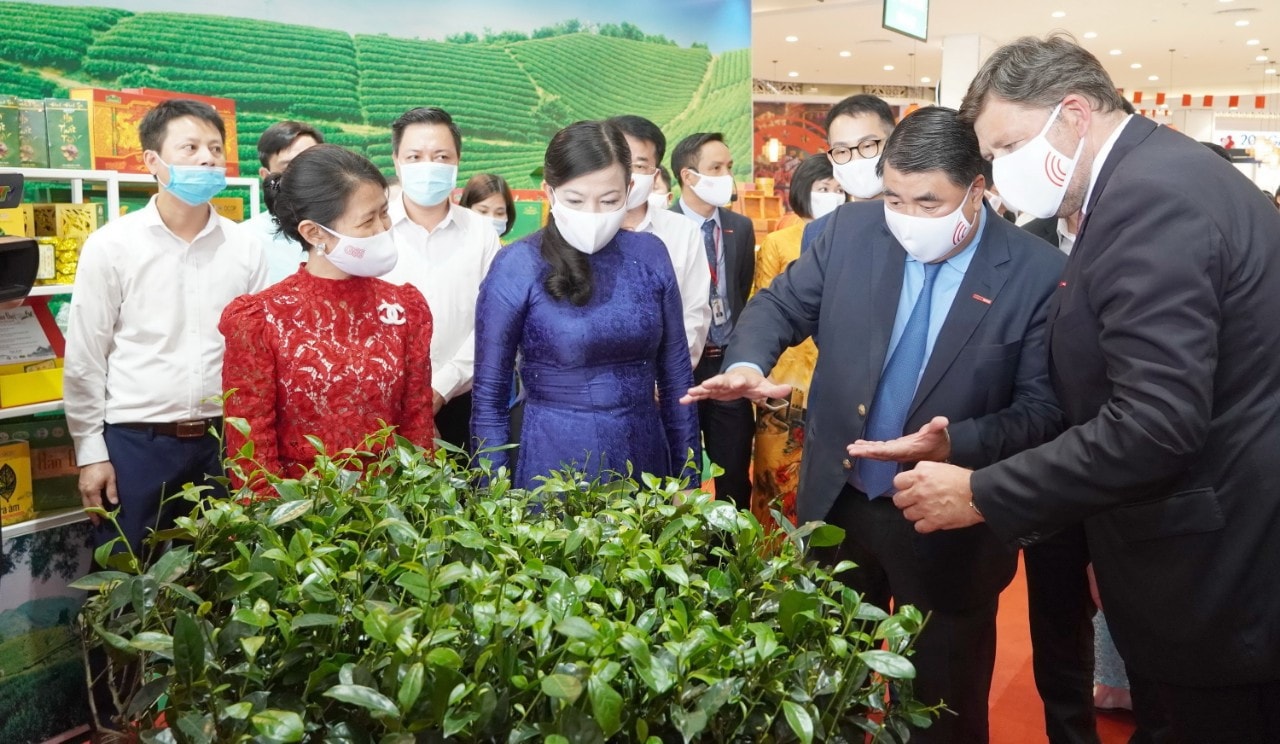 Ông Paul Le (Thứ hai từ phải qua) giới thiệu về cây chè ngay tại vùng chè Thái Nguyên;