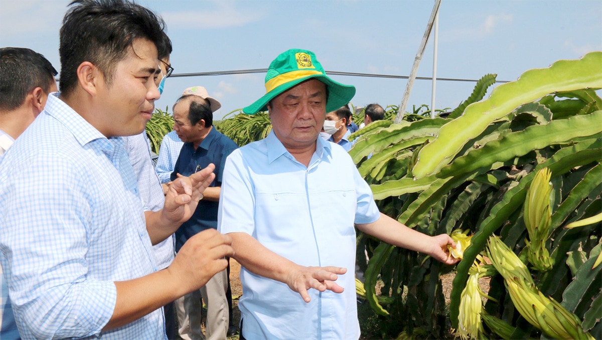 Chúng ta cần nông nghiệp tuần hoàn! -0