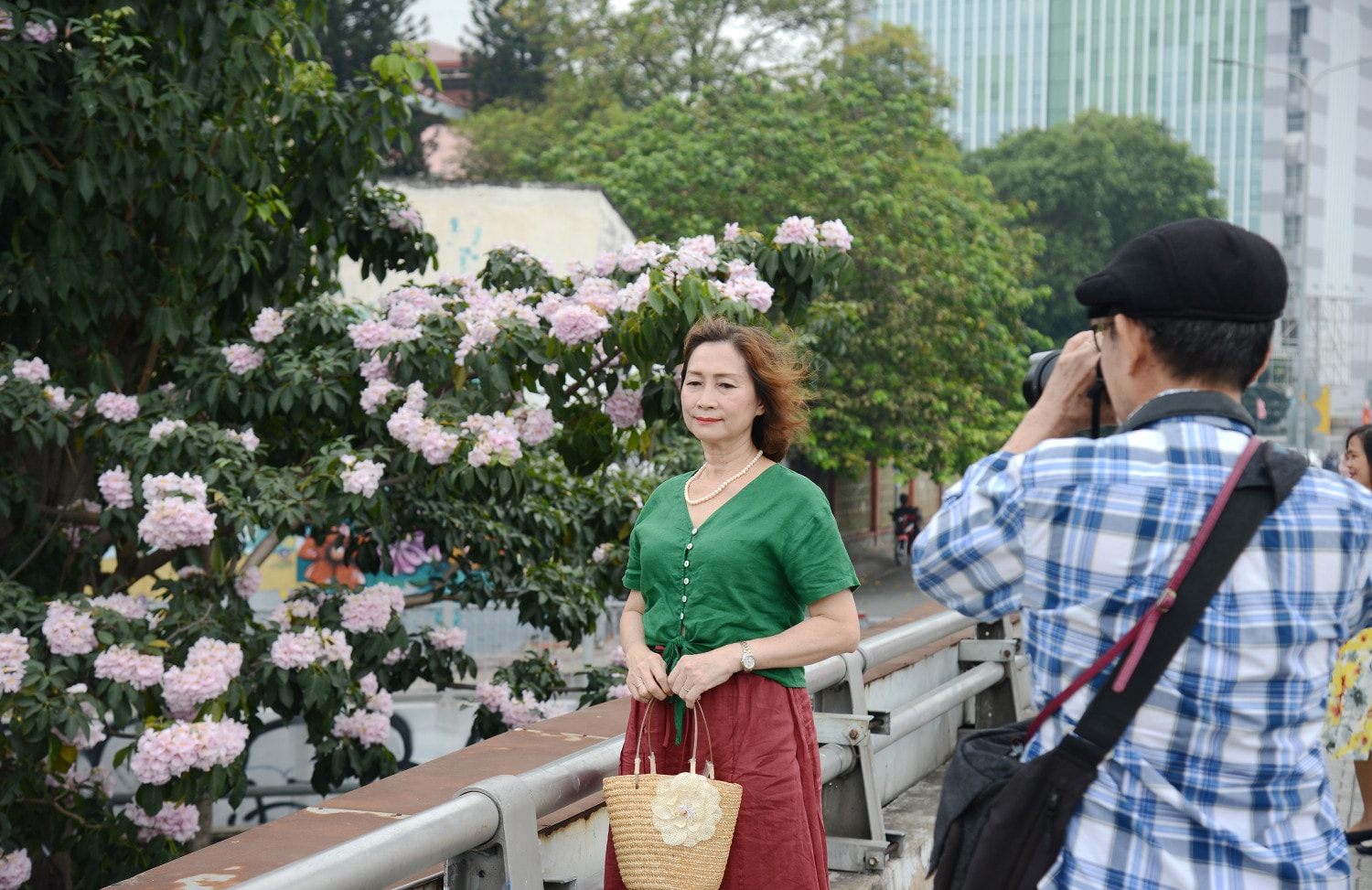 Mùa hoa kèn hồng nở sớm, khoe sắc trên những cung đường ở TP. Hồ Chí Minh ảnh 10 Mùa hoa kèn hồng nở sớm, khoe sắc trên những cung đường ở TP. Hồ Chí Minh ảnh 10