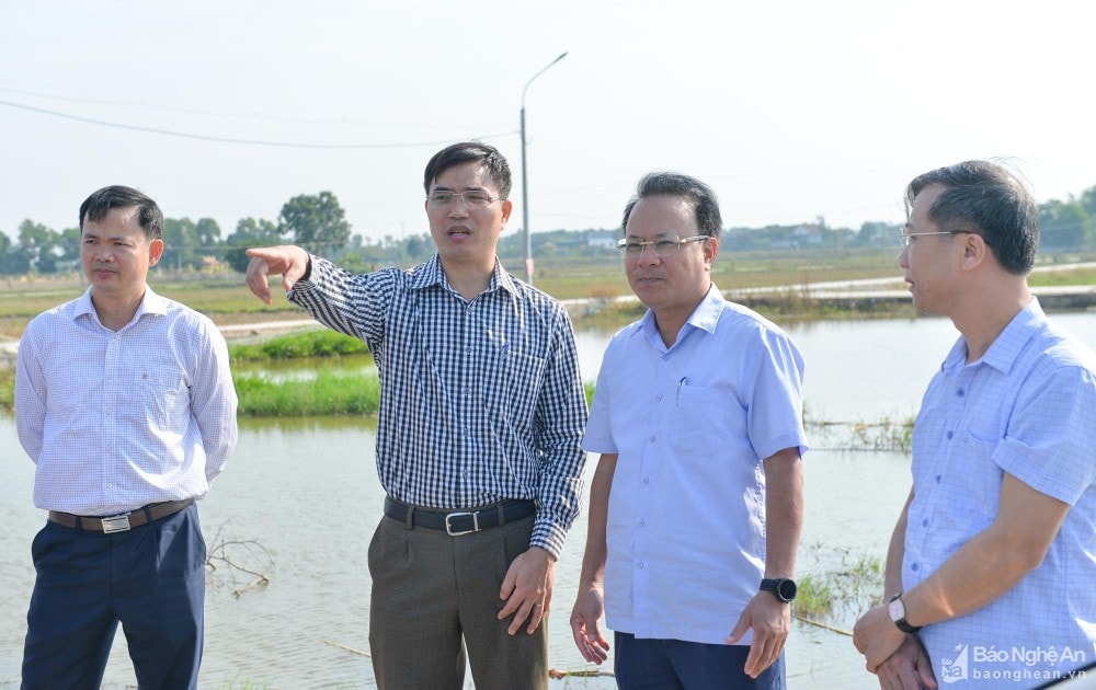 Bài 1: Nhận diện những biến dạng trong nhận thức,  thực thi nguyên tắc tập trung dân chủ -0