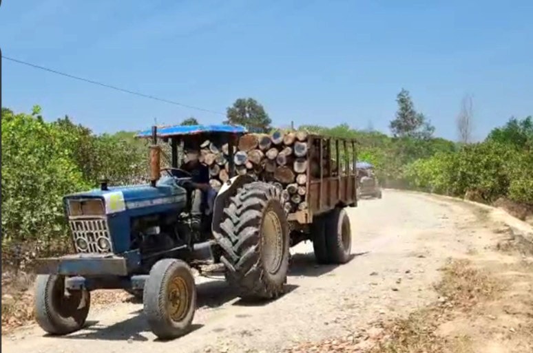 Cơ quan chức năng huy động xe máy cày chở toàn bộ gỗ tang vật về tập kết tại Hạt Kiểm lâm Khởi tố vụ án hình sự đầu tiên về nạn phá rừng phòng hộ tại Đồng Nai
