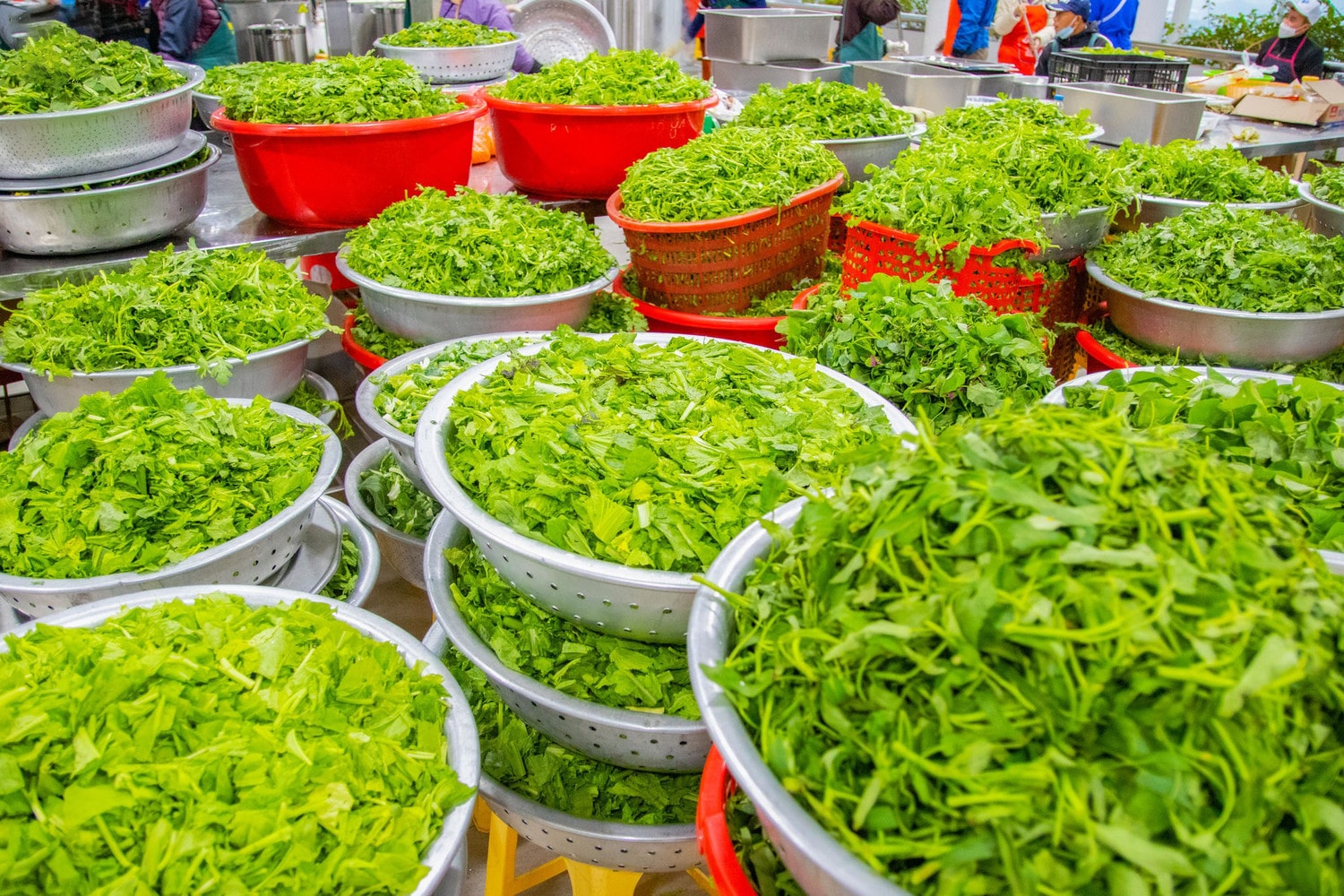 Hàng vạn suất cơm chay miễn phí phát tặng Phật tử, du khách thập phương - nét đẹp riêng có ở chùa Ba Vàng -0