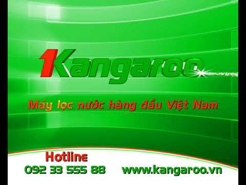 Mỗi ngày “đút túi” hơn 600 triệu đồng, Kangaroo bất ngờ “lột xác” sau gần hai thập kỷ ? -0