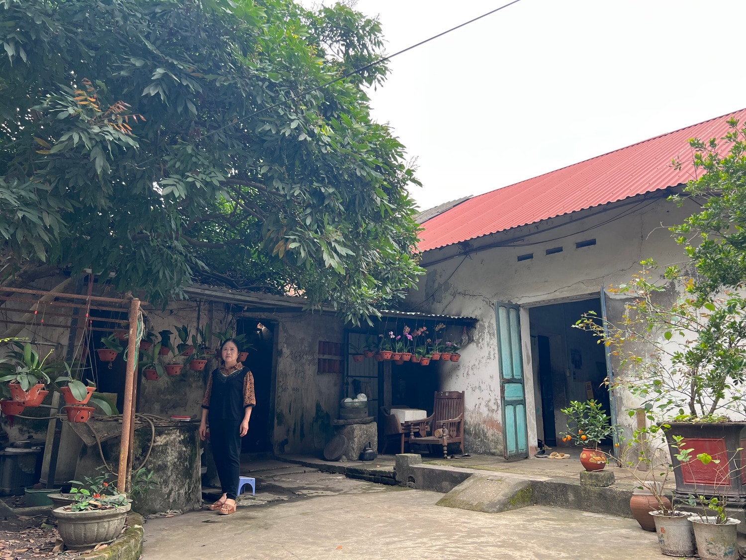 Hà Nội: Người dân trúng đấu giá đất, nhiều năm sau mới biết là đấu giá 