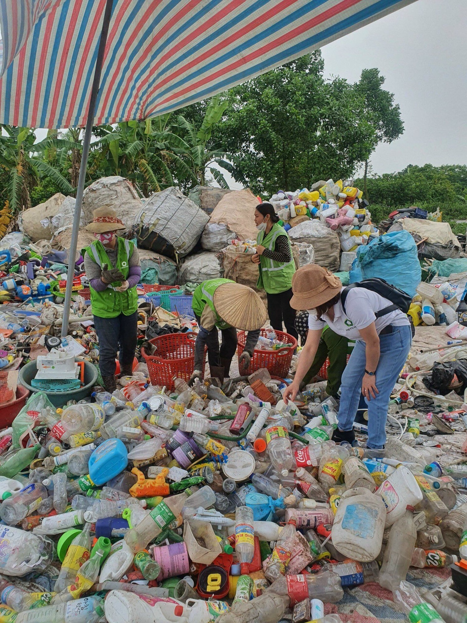 Phát triển bền vững gắn với bảo vệ môi trường -0