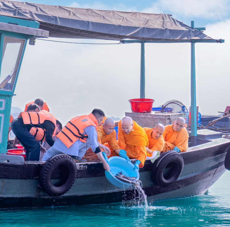 Cầu quốc thái dân an - nét đẹp ở Bảo Quang Tự -0
