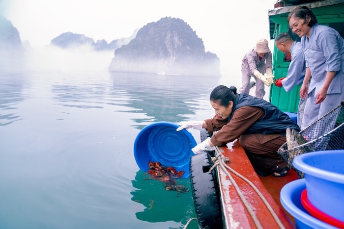 Cầu quốc thái dân an - nét đẹp ở Bảo Quang Tự -0