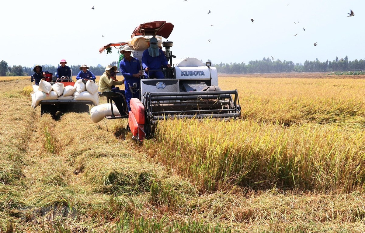 Thúc đẩy khoa học công nghệ và đổi mới sáng tạo, nâng cao năng suất ngành nông nghiệp -0
