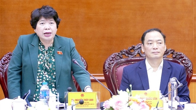 hủ nhiệm Ủy ban Xã hội Nguyễn Thúy Anh phát biểu tại cuộc làm việc với UBND tỉnh Hưng Yên - Ảnh Hoàng Ngọc