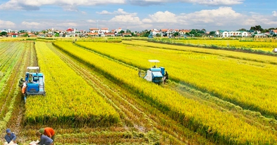 Quy định chặt chẽ quyền, nghĩa vụ của hộ gia đình, cá nhân -0