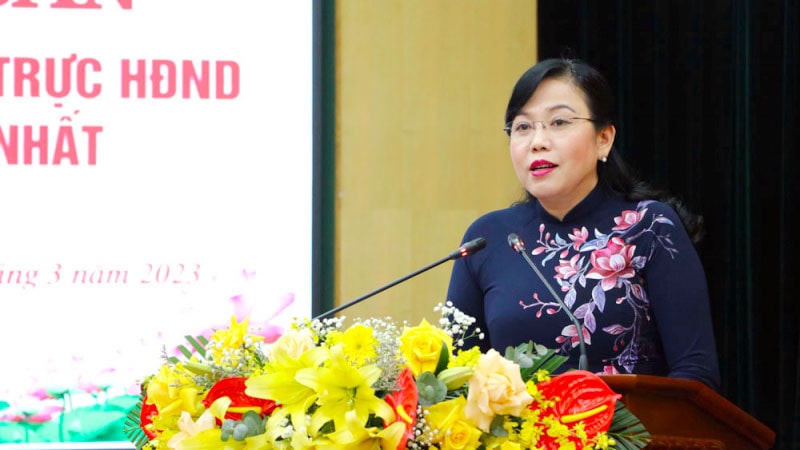 Dày thêm kinh nghiệm, bản lĩnh của đại biểu -0