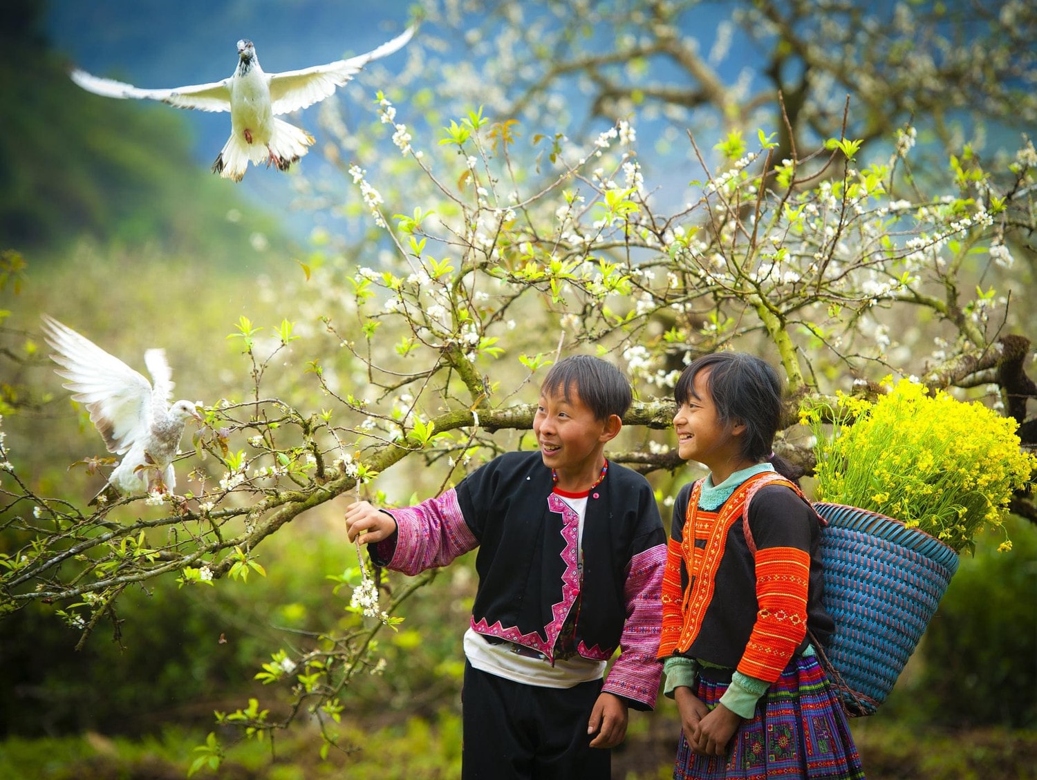 Ảnh: Minh Đức