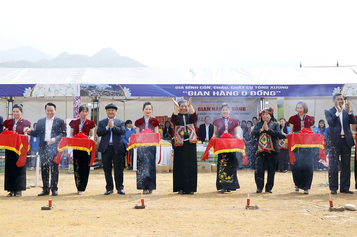 Khai mạc Ngày hội hoa Sơn tra năm 2023 -5