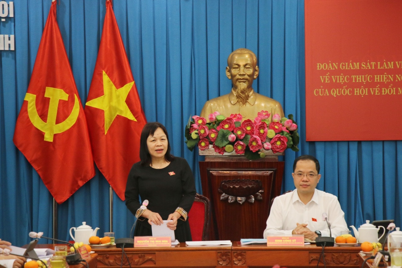Phó Chủ nhiệm Ủy ban Văn hoá, Giáo dục Nguyễn Thị Mai Hoa và Phó Chủ nhiệm Ủy ban Văn hoá, Giáo dục Đinh Công Sỹ chủ trì cuộc làm việc Đoàn giám sát Ủy ban Thường vụ Quốc hội làm việc với Đoàn đại biểu Quốc hội TP. Hồ Chí Minh -0