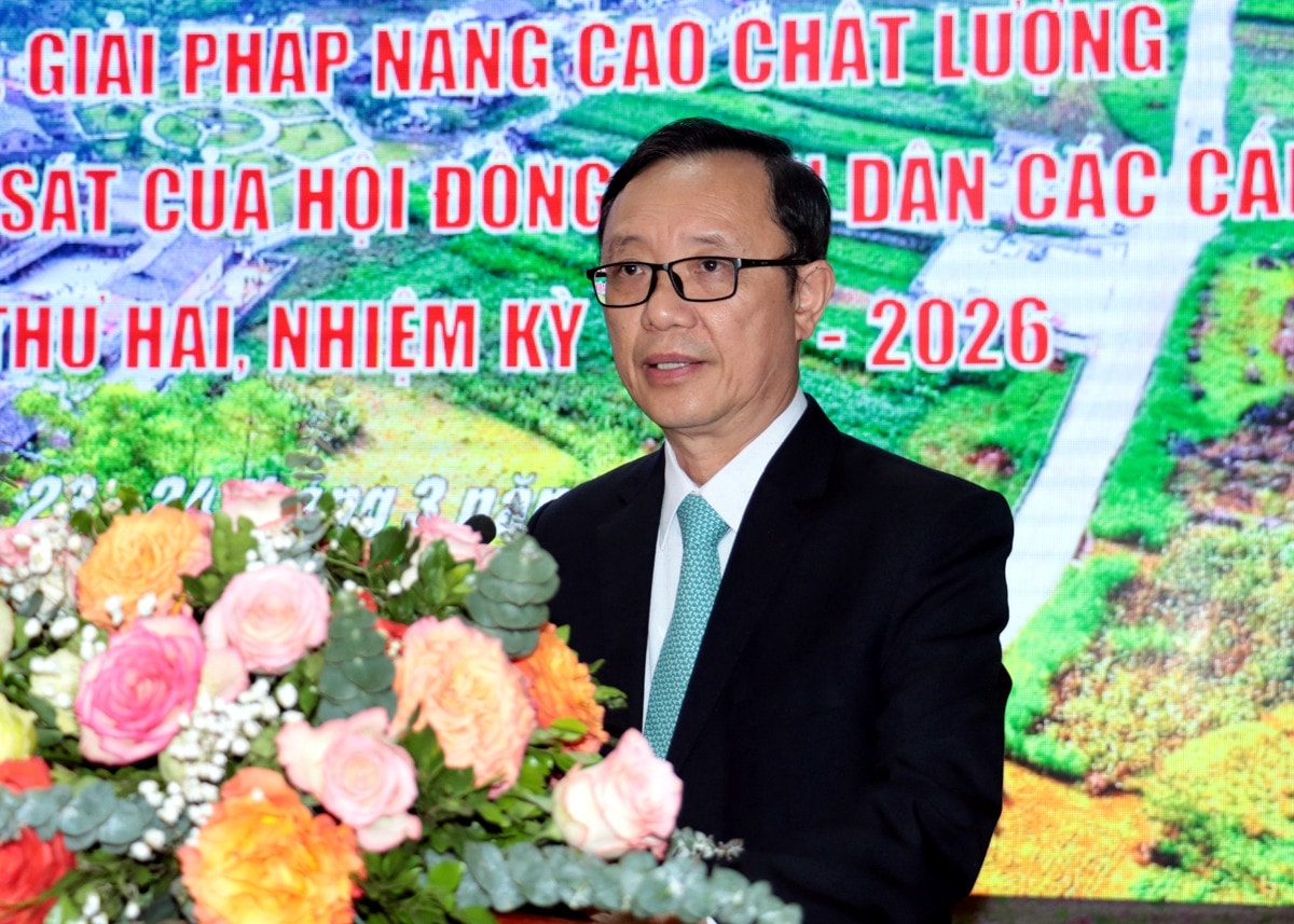 Các giải pháp nâng cao chất lượng hoạt động giám sát HĐND các cấp -0