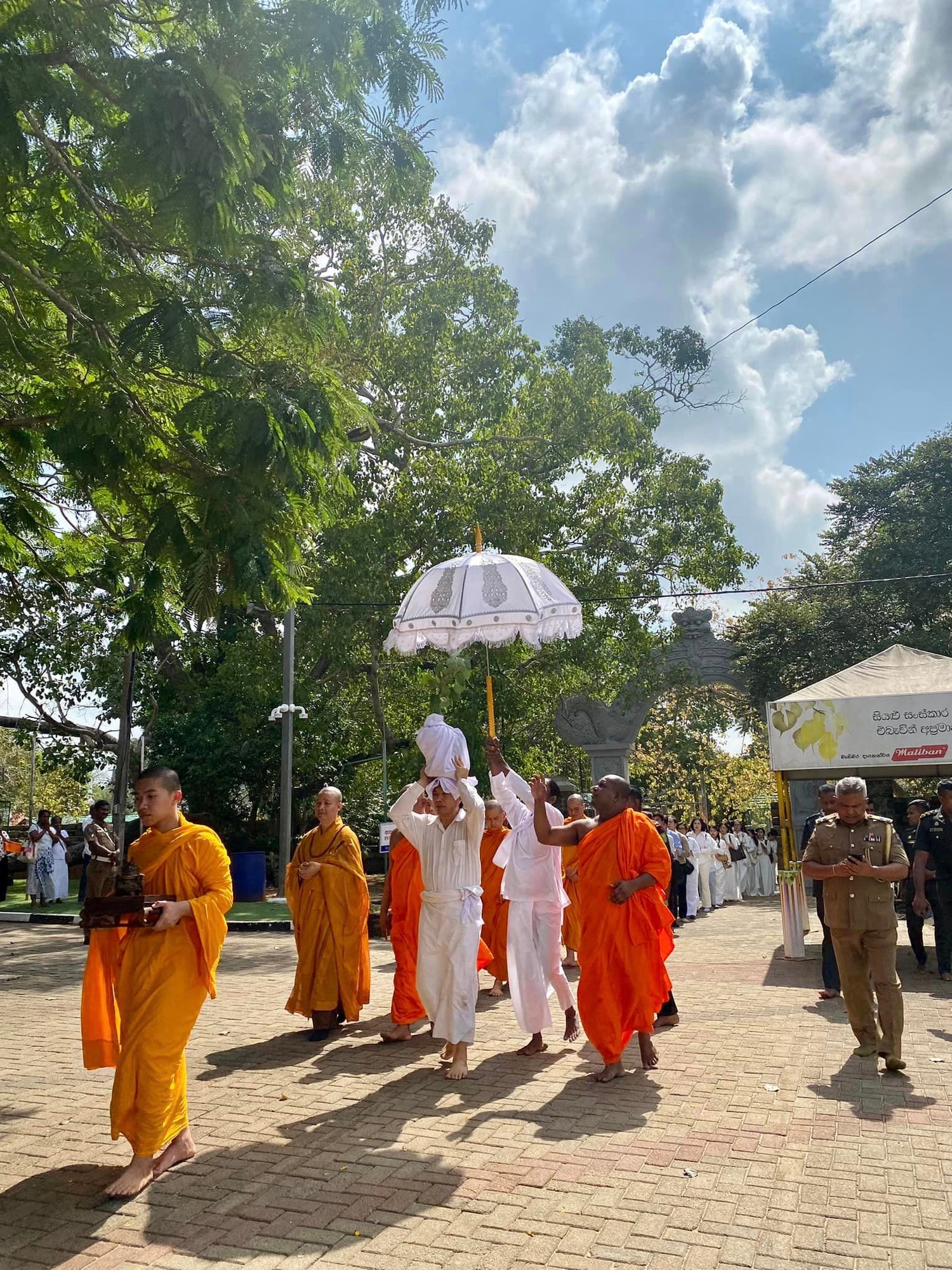 Cây bồ đề thiêng kết nối tình hữu nghị Việt Nam - Sri Lanka -0