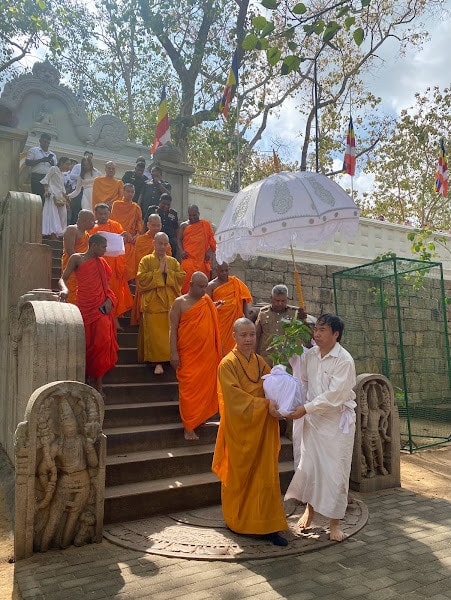 Cây bồ đề thiêng kết nối tình hữu nghị Việt Nam - Sri Lanka -0