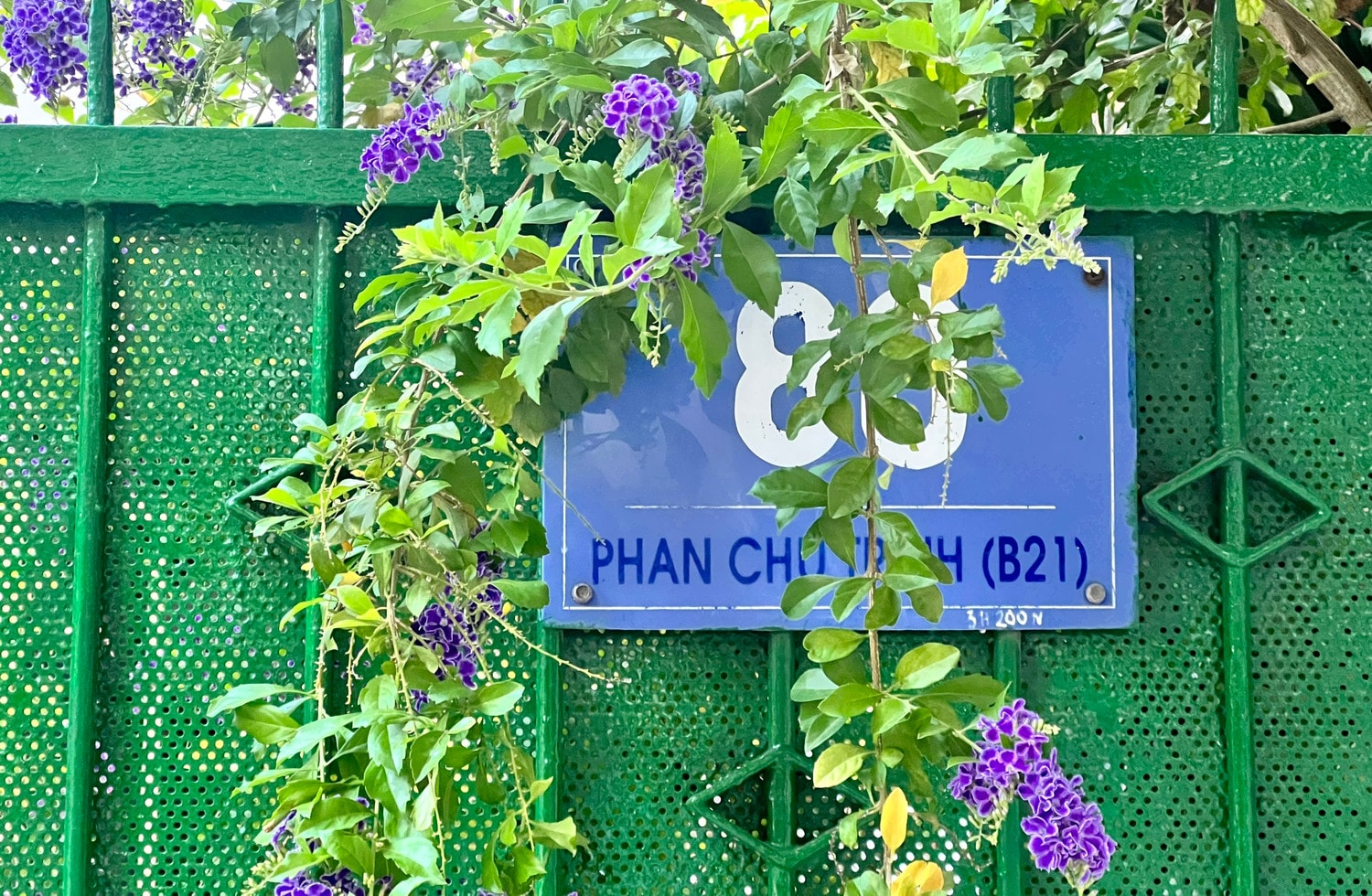 Mua nhà rồi ròng rã suốt gần 30 năm đi đòi chủ quyền nhà -0